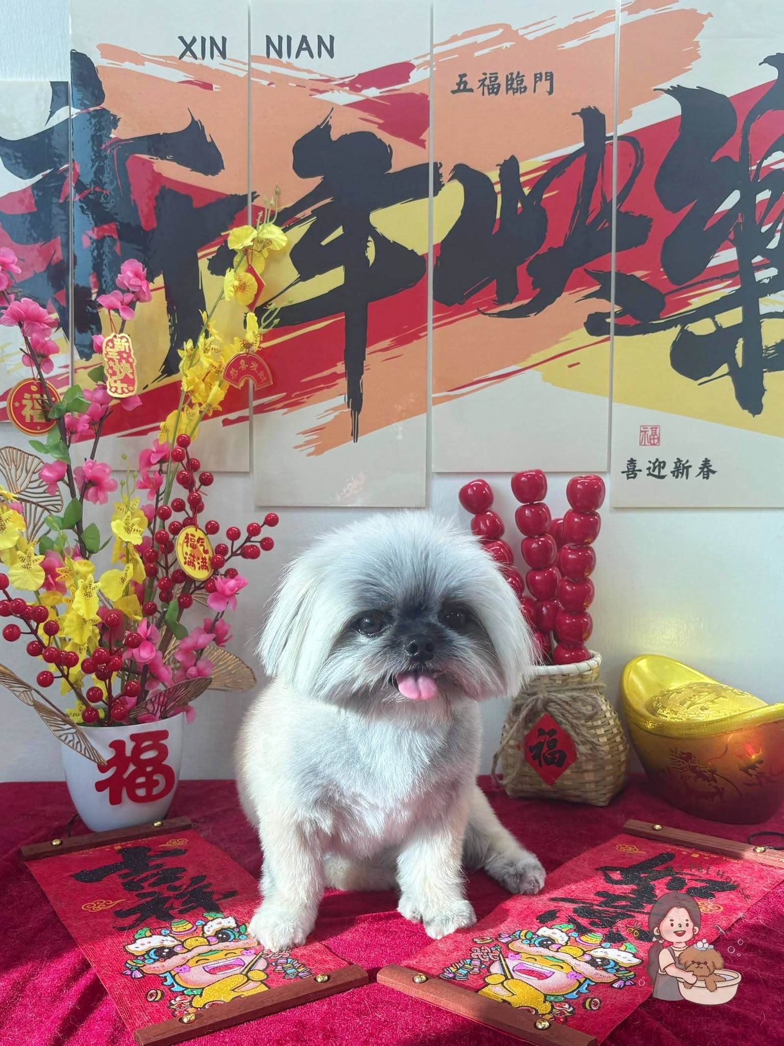 Shih Tzu festive portrait
